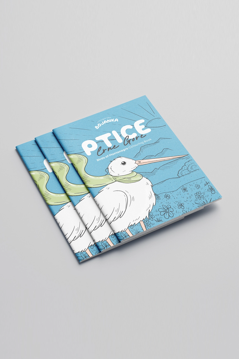 Ptice Crne Gore (drugo izdanje) - Slika 4